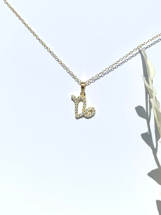 Capricorn Necklace